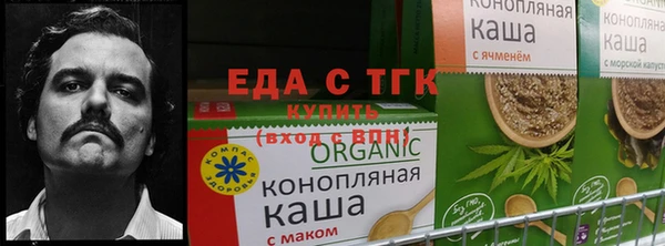 COCAINE Бородино