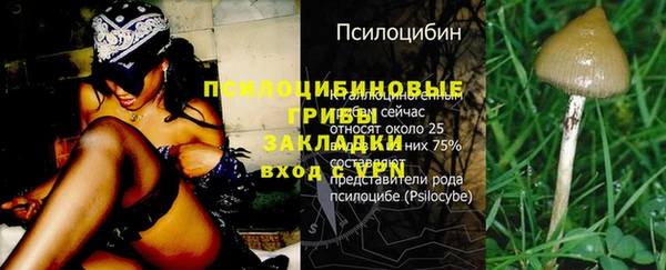 эйфоретик Бугульма