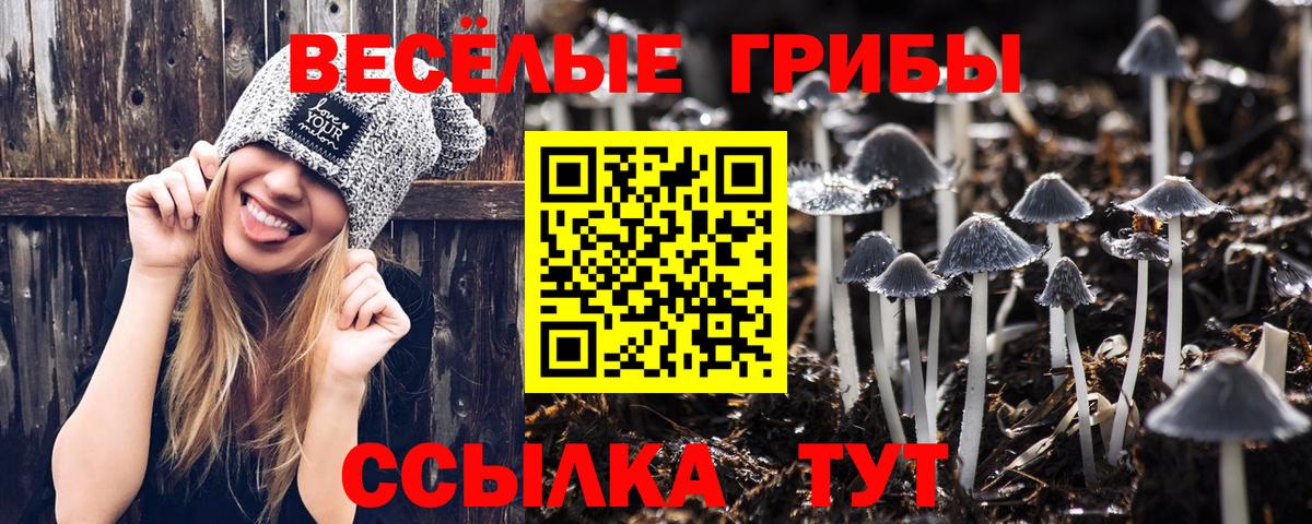 Псилоцибиновые грибы Psilocybine cubensis  Вход с VPN  Галлюциногенные грибы Cubensis  Воткинск 